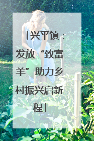 兴平镇：发放“致富羊”助力乡村振兴启新程
