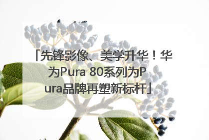 先锋影像、美学升华！华为Pura 80系列为Pura品牌再塑新标杆