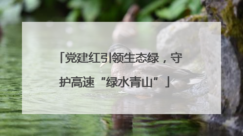 党建红引领生态绿，守护高速“绿水青山”
