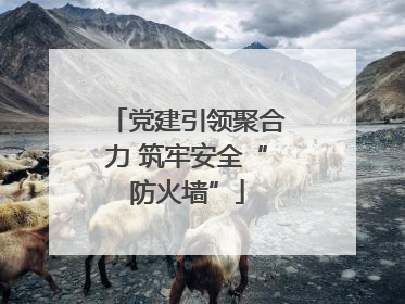 党建引领聚合力 筑牢安全“防火墙”