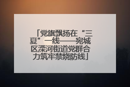 党旗飘扬在“三夏”一线——宛城区溧河街道党群合力筑牢禁烧防线