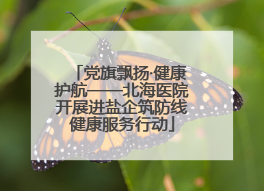 党旗飘扬·健康护航——北海医院开展进盐企筑防线健康服务行动