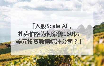 入股Scale AI，扎克伯格为何豪掷150亿美元投资数据标注公司？