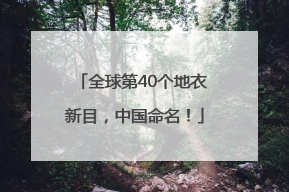 全球第40个地衣新目，中国命名！