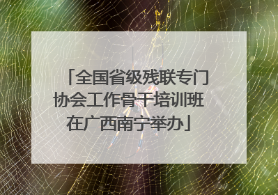 全国省级残联专门协会工作骨干培训班在广西南宁举办