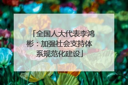 全国人大代表李鸿彬：加强社会支持体系规范化建设