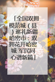 全国双拥模范城（县）巡礼新疆哈密市：双拥花开哈密城 军民同心谱新篇