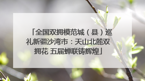 全国双拥模范城（县）巡礼新疆沙湾市：天山北麓双拥花 五届蝉联铸辉煌