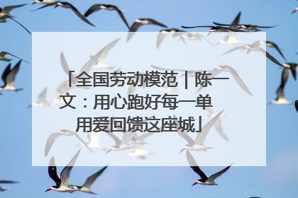 全国劳动模范｜陈一文：用心跑好每一单 用爱回馈这座城