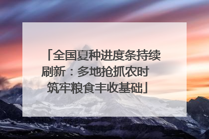 全国夏种进度条持续刷新：多地抢抓农时 筑牢粮食丰收基础