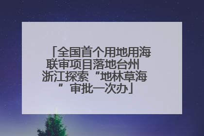 全国首个用地用海联审项目落地台州 浙江探索“地林草海”审批一次办