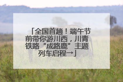 全国首趟！端午节前带你游川西，川青铁路“成路鹿”主题列车启程→