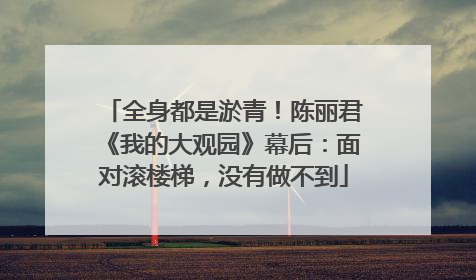 全身都是淤青！陈丽君《我的大观园》幕后：面对滚楼梯，没有做不到