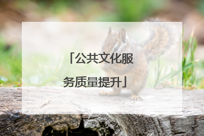 公共文化服务质量提升