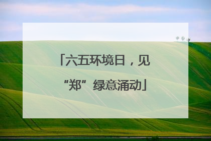 六五环境日，见“郑”绿意涌动