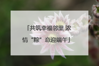 共筑幸福邻里 浓情“粽”意迎端午