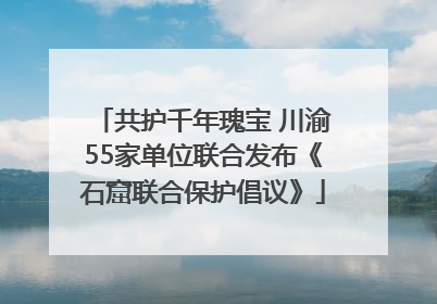 共护千年瑰宝 川渝55家单位联合发布《石窟联合保护倡议》