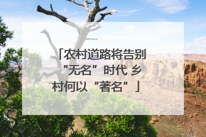 农村道路将告别“无名”时代 乡村何以“著名”