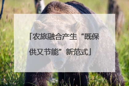 农旅融合产生“既保供又节能”新范式