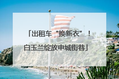 出租车“换新衣”！白玉兰绽放申城街巷