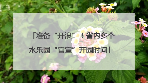准备“开浪”！省内多个水乐园“官宣”开园时间
