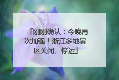 刚刚确认：今晚再次加强！浙江多地景区关闭、停运