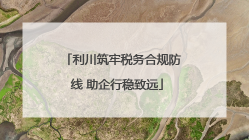 利川筑牢税务合规防线 助企行稳致远