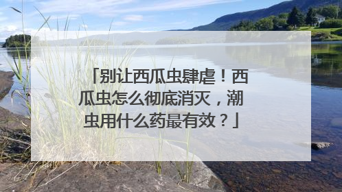 别让西瓜虫肆虐！西瓜虫怎么彻底消灭，潮虫用什么药最有效？