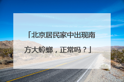 北京居民家中出现南方大蟑螂，正常吗？