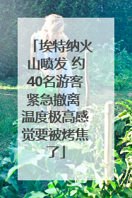 埃特纳火山喷发 约40名游客紧急撤离 温度极高感觉要被烤焦了