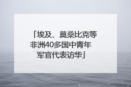 埃及、莫桑比克等非洲40多国中青年军官代表访华