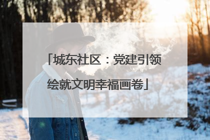 城东社区：党建引领绘就文明幸福画卷