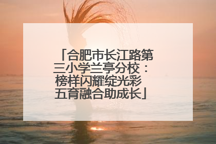 合肥市长江路第三小学兰亭分校：榜样闪耀绽光彩 五育融合助成长