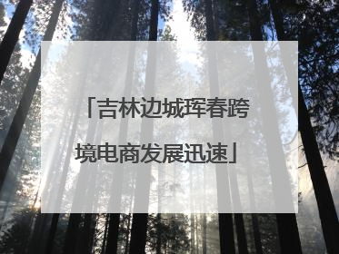 吉林边城珲春跨境电商发展迅速