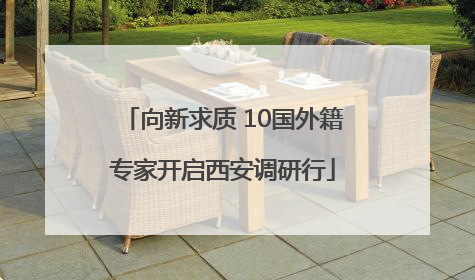 向新求质 10国外籍专家开启西安调研行