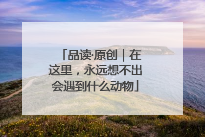 品读·原创｜在这里，永远想不出会遇到什么动物