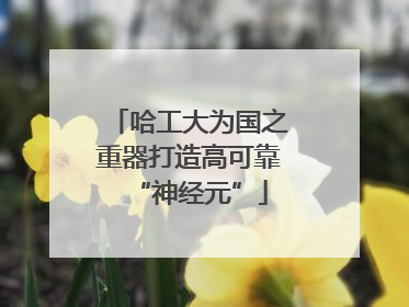 哈工大为国之重器打造高可靠“神经元”