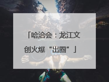 哈洽会：龙江文创火爆“出圈”
