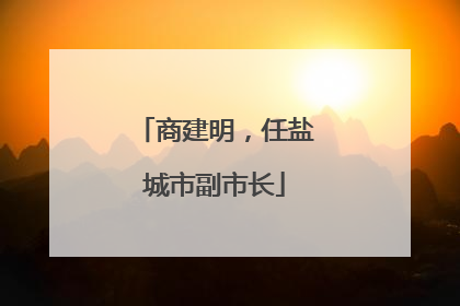 商建明，任盐城市副市长