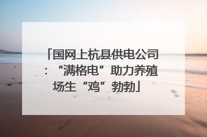 国网上杭县供电公司：“满格电”助力养殖场生“鸡”勃勃