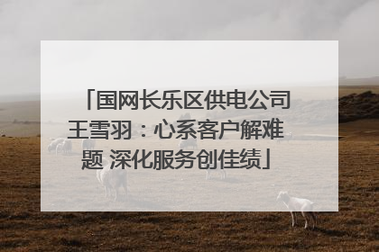 国网长乐区供电公司王雪羽：心系客户解难题 深化服务创佳绩