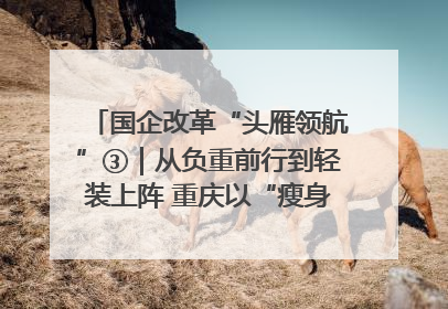 国企改革“头雁领航”③｜从负重前行到轻装上阵 重庆以“瘦身”谋“健体”