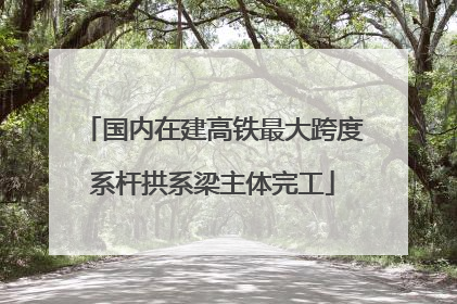 国内在建高铁最大跨度系杆拱系梁主体完工