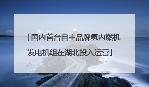 国内首台自主品牌氢内燃机发电机组在湖北投入运营