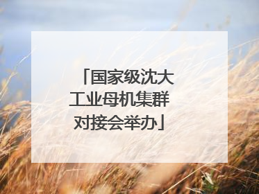 国家级沈大工业母机集群对接会举办