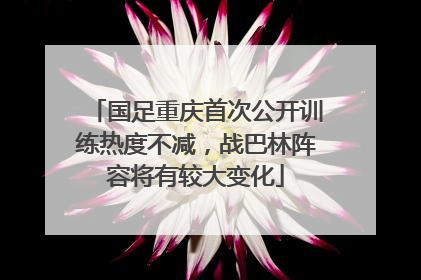 国足重庆首次公开训练热度不减，战巴林阵容将有较大变化
