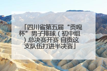 四川省第五届“贡嘎杯”男子排球（初中组）总决赛开赛 自贡这支队伍打进半决赛