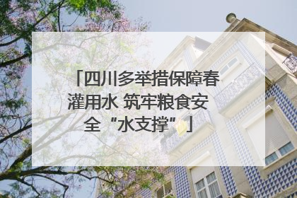 四川多举措保障春灌用水 筑牢粮食安全“水支撑”