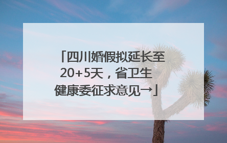 四川婚假拟延长至20+5天，省卫生健康委征求意见→
