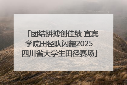 团结拼搏创佳绩 宜宾学院田径队闪耀2025四川省大学生田径赛场